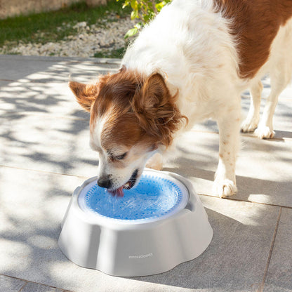 Bebedero Refrescante para Mascotas